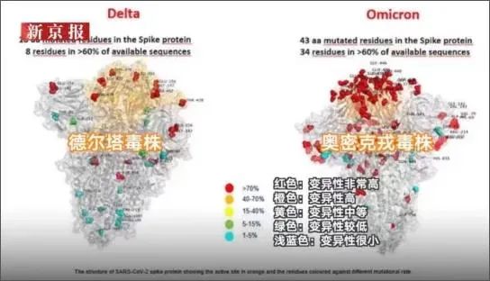 中国变异新冠一例/中国确诊变异新冠 中国变异新冠一例/中国确诊变异新冠