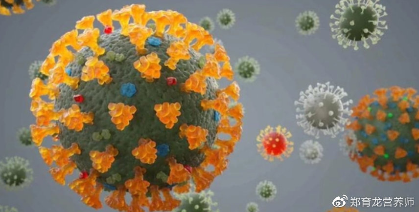 巴西发现的变异病毒或威胁全球防疫（巴西变异新冠病毒叫什么名字）