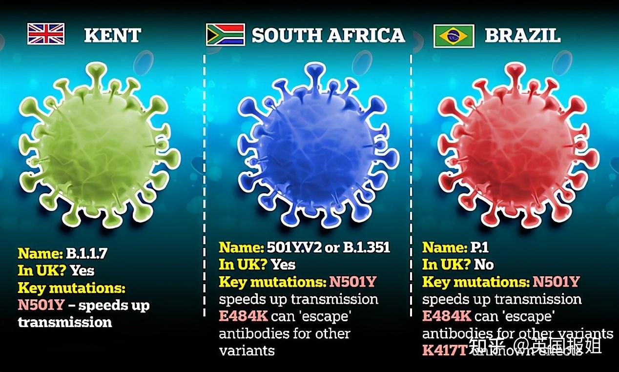 巴西发现的变异病毒或威胁全球防疫（巴西变异新冠病毒叫什么名字）