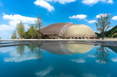 上海公交有老年卡优惠政策吗（上海公交老年卡多少岁可以办理免费的）