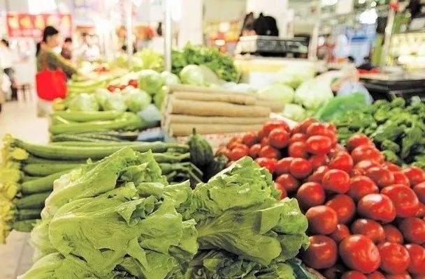 上海什么时候可以种植什么菜/上海现在季节种什么菜合适 上海什么时候可以种植什么菜/上海现在季节种什么菜合适