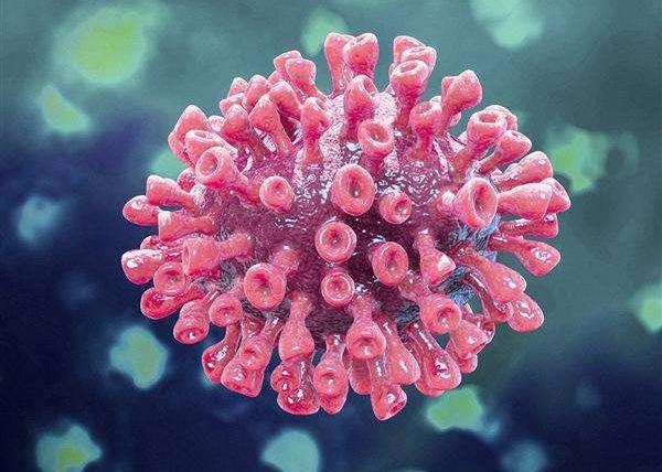 新型冠状的症状有哪些症状2021/新型冠状病症状是啥