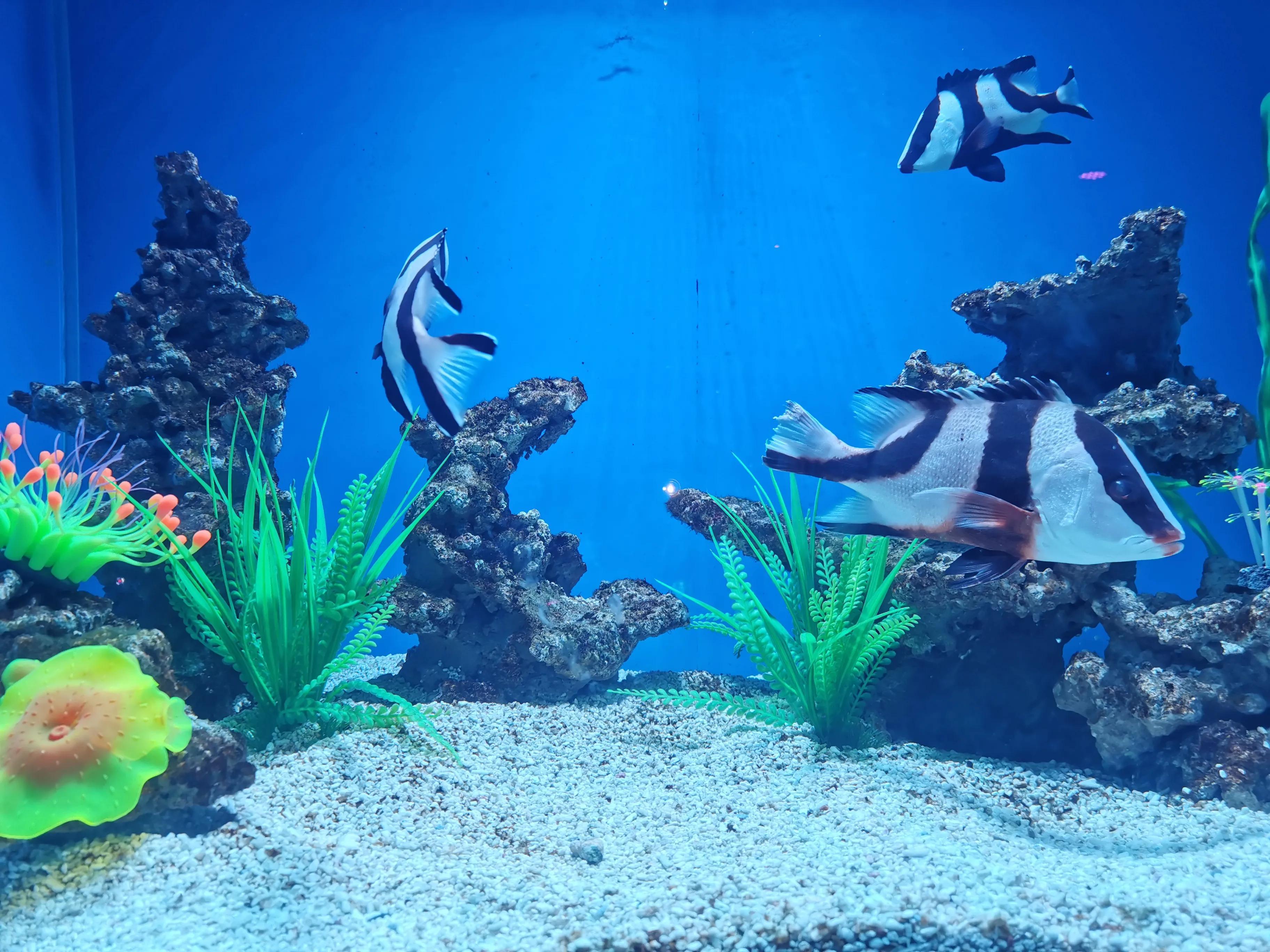 黄岛融创茂简介/黄岛融创茂购物广场