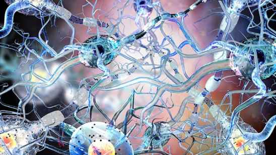 德尔塔毒株怎么命名的:德尔塔毒株的来历 德尔塔毒株怎么命名的:德尔塔毒株的来历