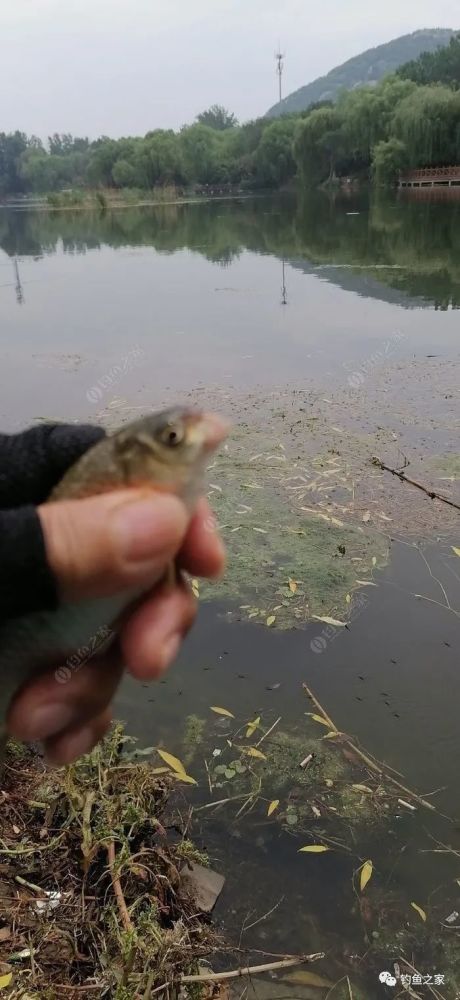 【五一连休5天预示着什么,五一连休十天是真的吗】