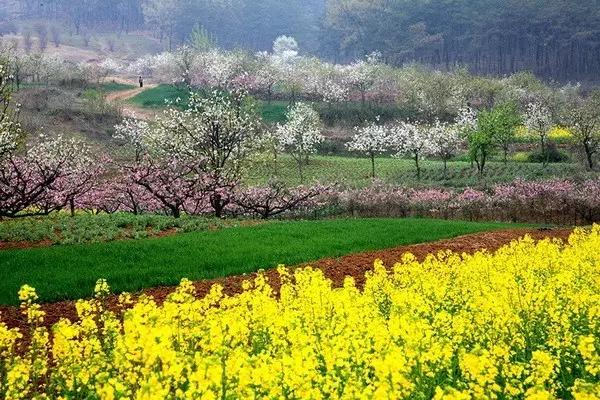 【安徽疫情最新公布/安徽疫情最新发布】