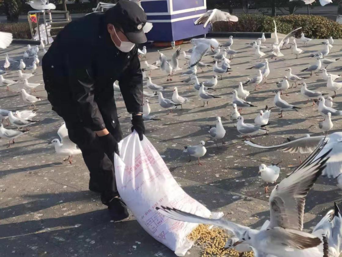 昆明最近疫情情况最新消息/昆明疫情最近几天情况?