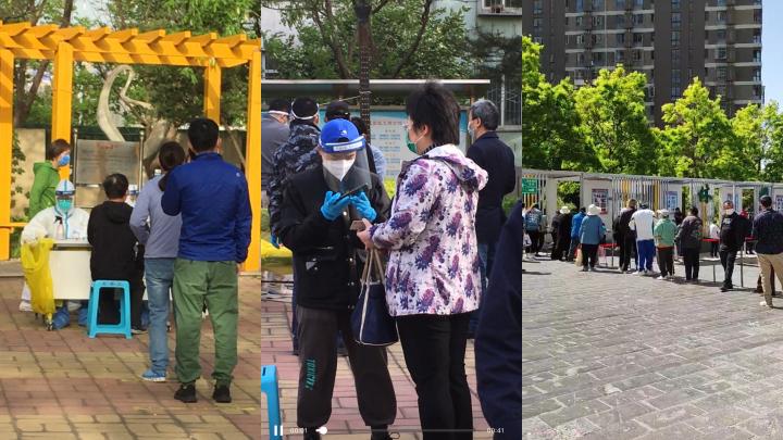 北京3日起核酸免费吗/北京核酸315