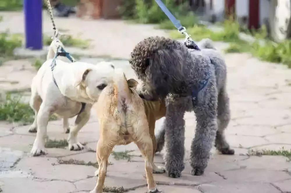 福建多地发布重要提醒:福建多地发布紧急提醒