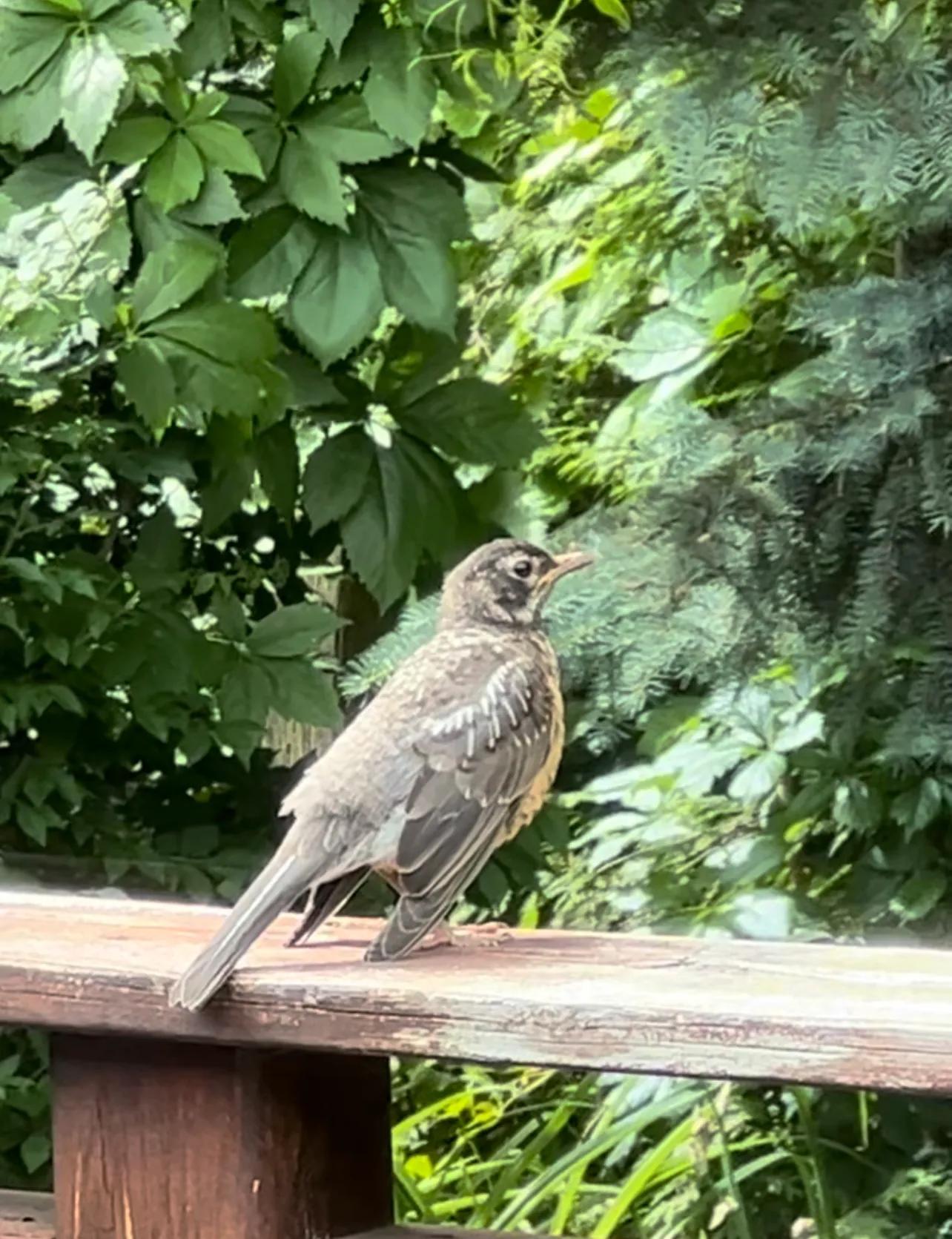 海外疫情最新消息今天新增数据/海外疫情最新动态数据