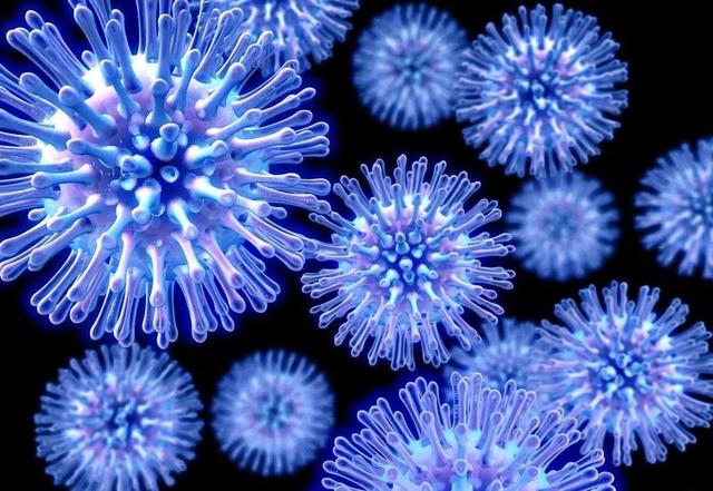 【塔尔病毒前期症状潜伏期,塔尔塔病毒】