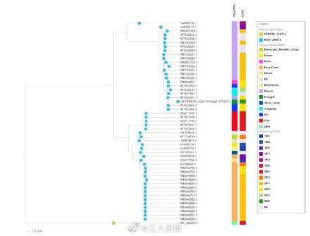 美国现猴痘病毒病例:美国猴痘病毒感染