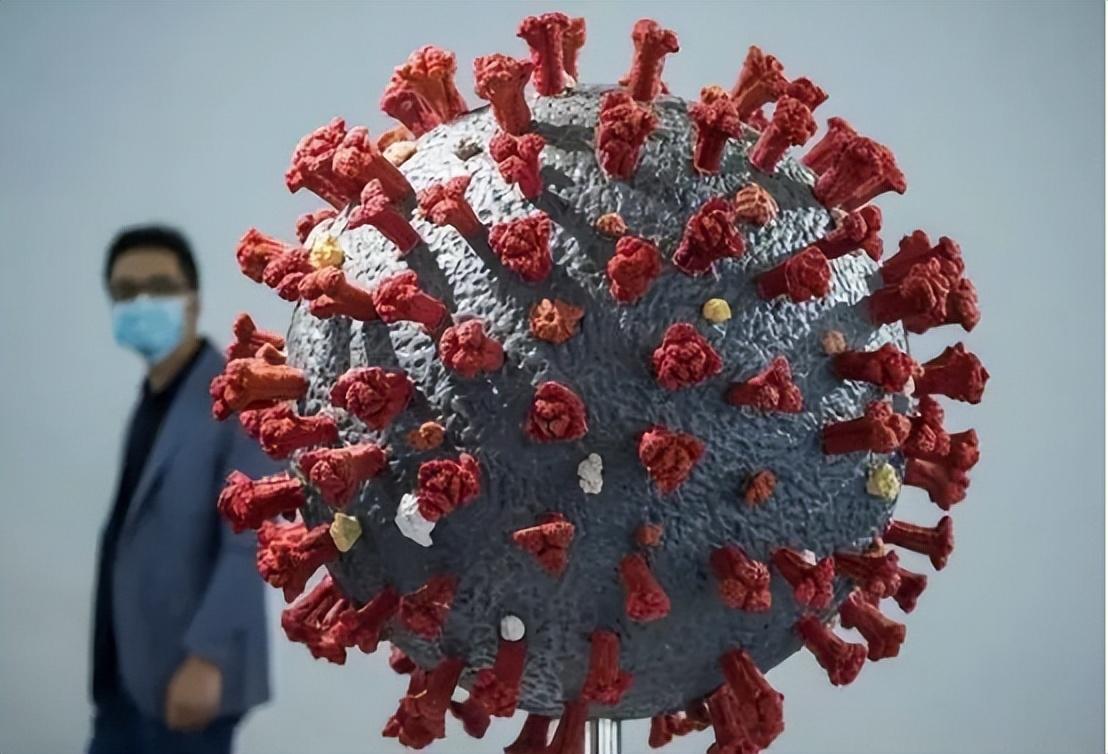 【变异毒株的传染性更强,变异毒株毒性】