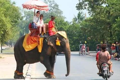 本土确诊多少例/本土确诊病例127例 本土确诊多少例/本土确诊病例127例