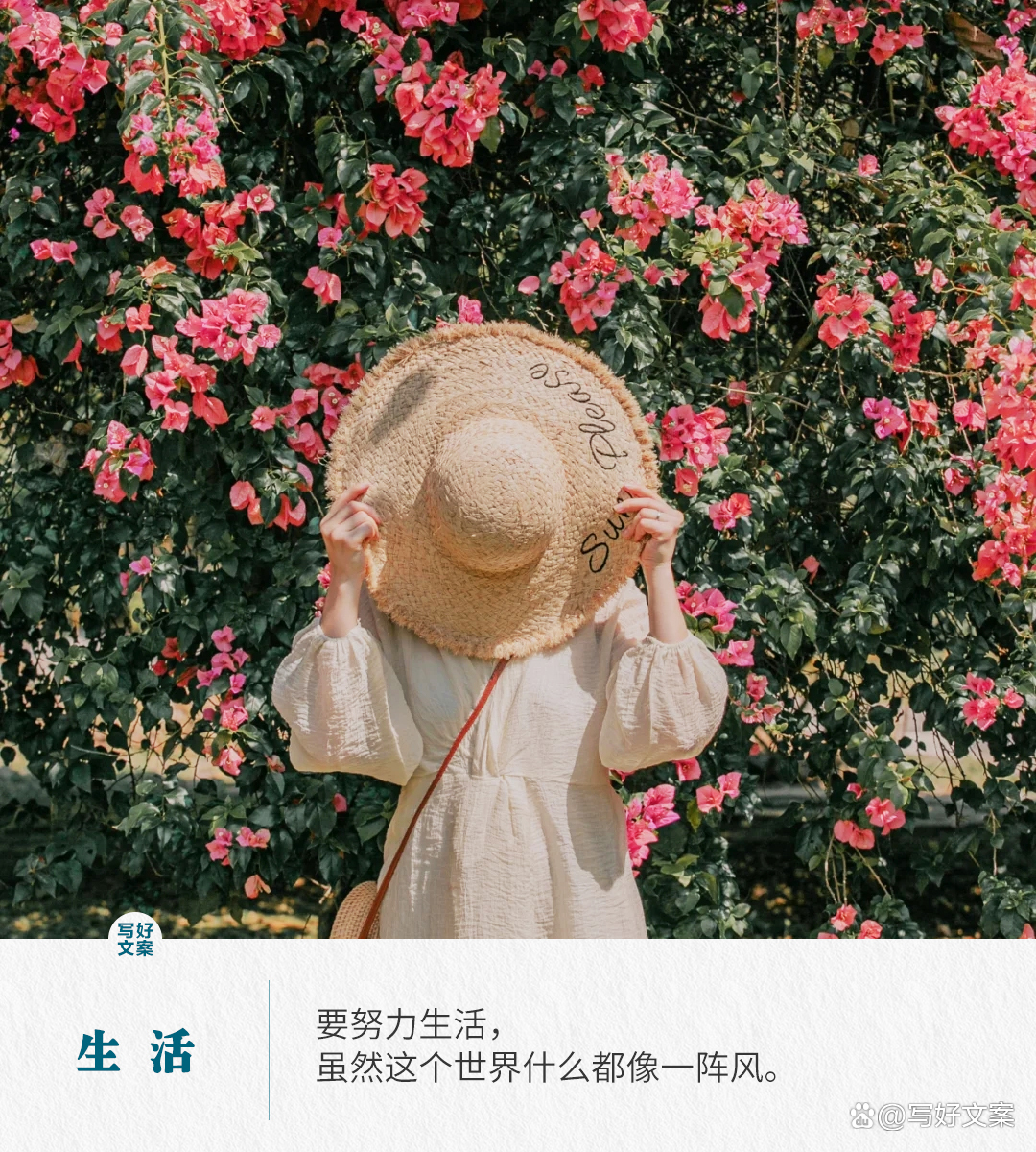 回归正常生活的文案/回归正常生活的意思