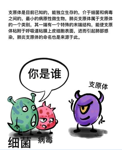 近期出现的病毒叫什么支原体感染:近年来出现的病毒