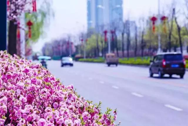 西安紧急通知银行卡(西安紧急通知银行卡怎么办理) 西安紧急通知银行卡(西安紧急通知银行卡怎么办理)