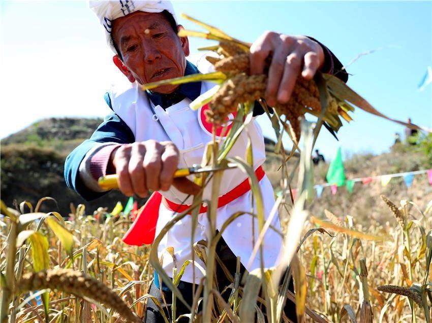 历史的榆林今天什么日子啊（榆林今天发生了什么）