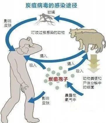 确诊病人的密切接触者有多少人/确诊病例密切接触者的密切接触者