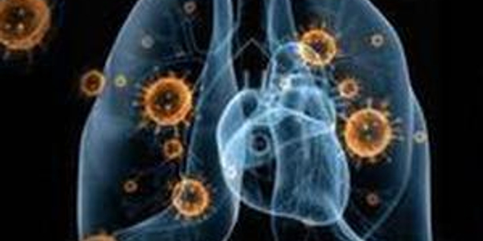 新型冠状病毒治愈后不用担心二次感染:新型冠状病毒感染者治愈后还会二次感染吗