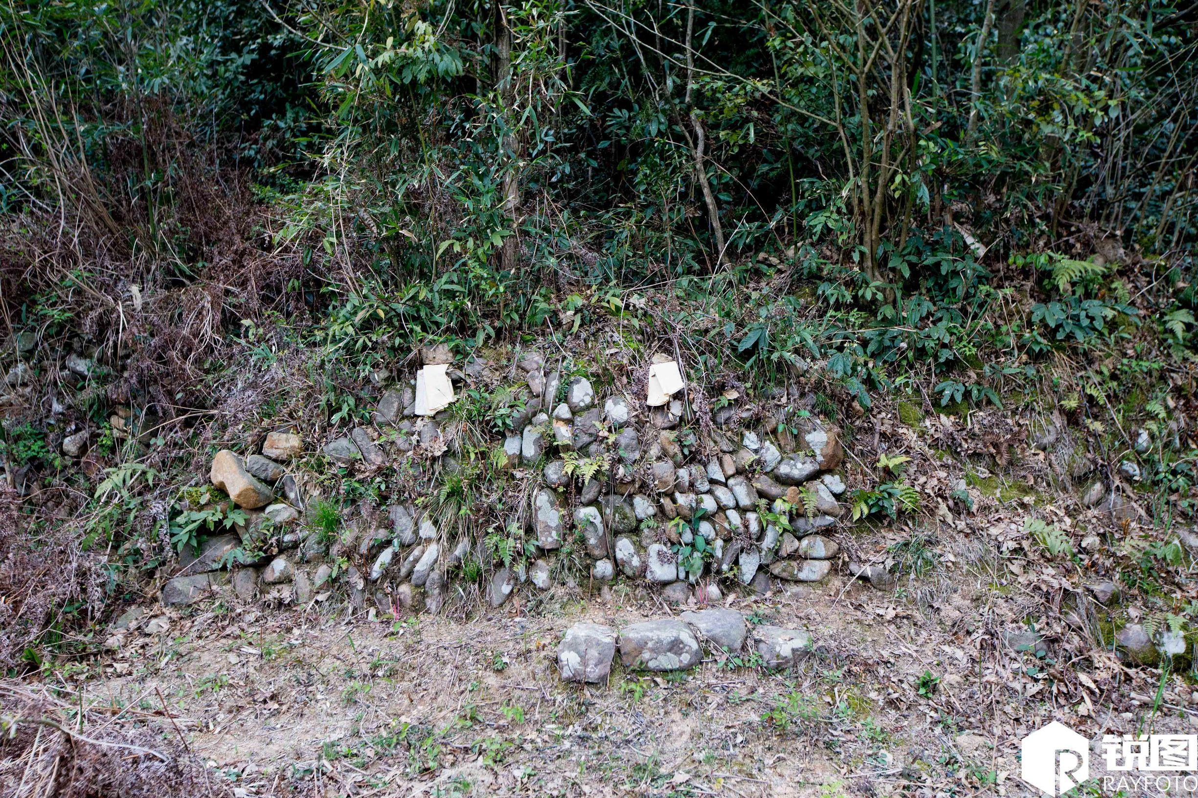 滴滴豪华车加入条件/滴滴豪华车加入条件一单多少钱