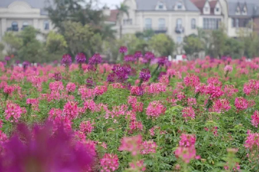 广东疫情7月7日（广东七月疫情）