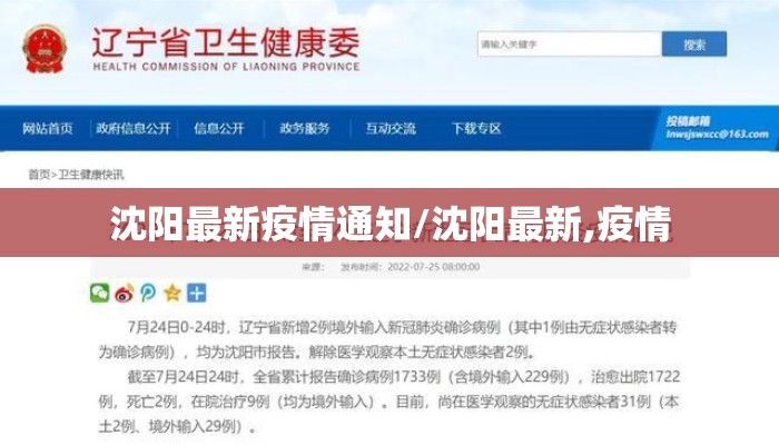沈阳疫情最新消息今天81例/沈阳疫情最新消息今日情况