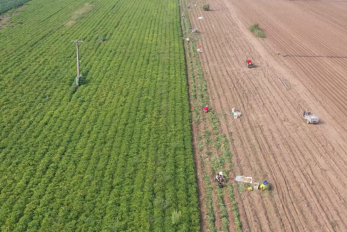 石家庄藁城疫情源头在哪（石家庄藁城感染源头）