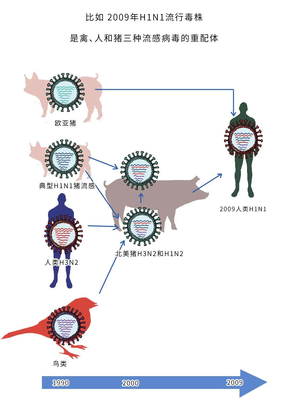疫情变异了几次分别叫什么:疫情变异有多严重