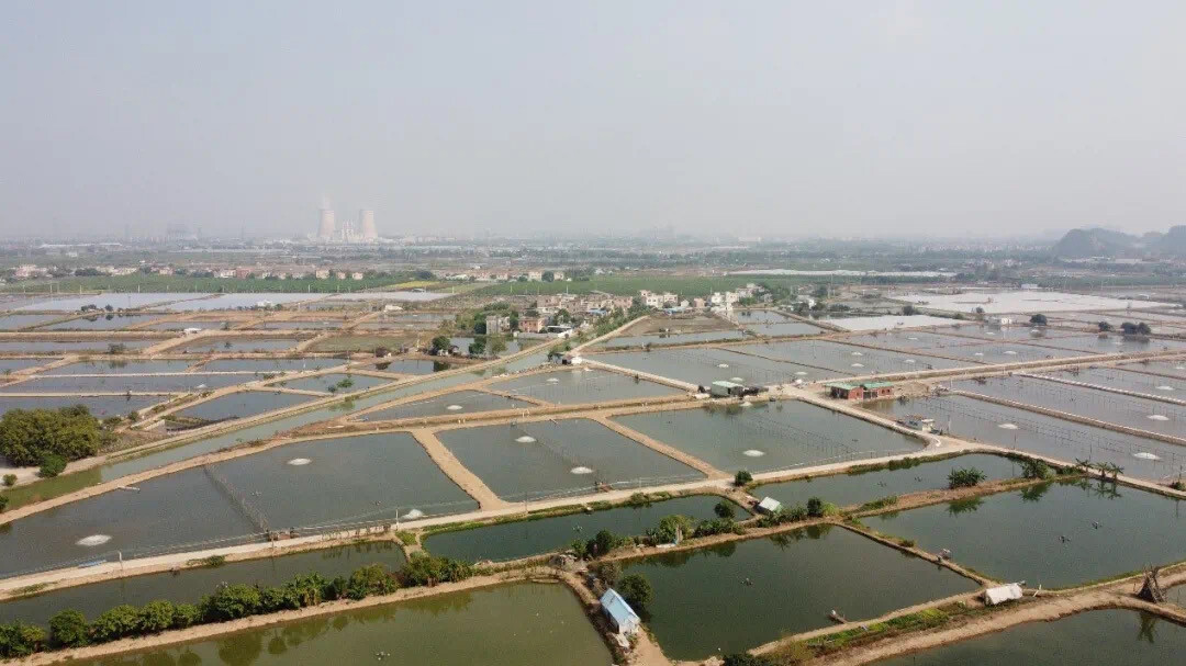 中山三角镇疫情:中山三角镇污染情况