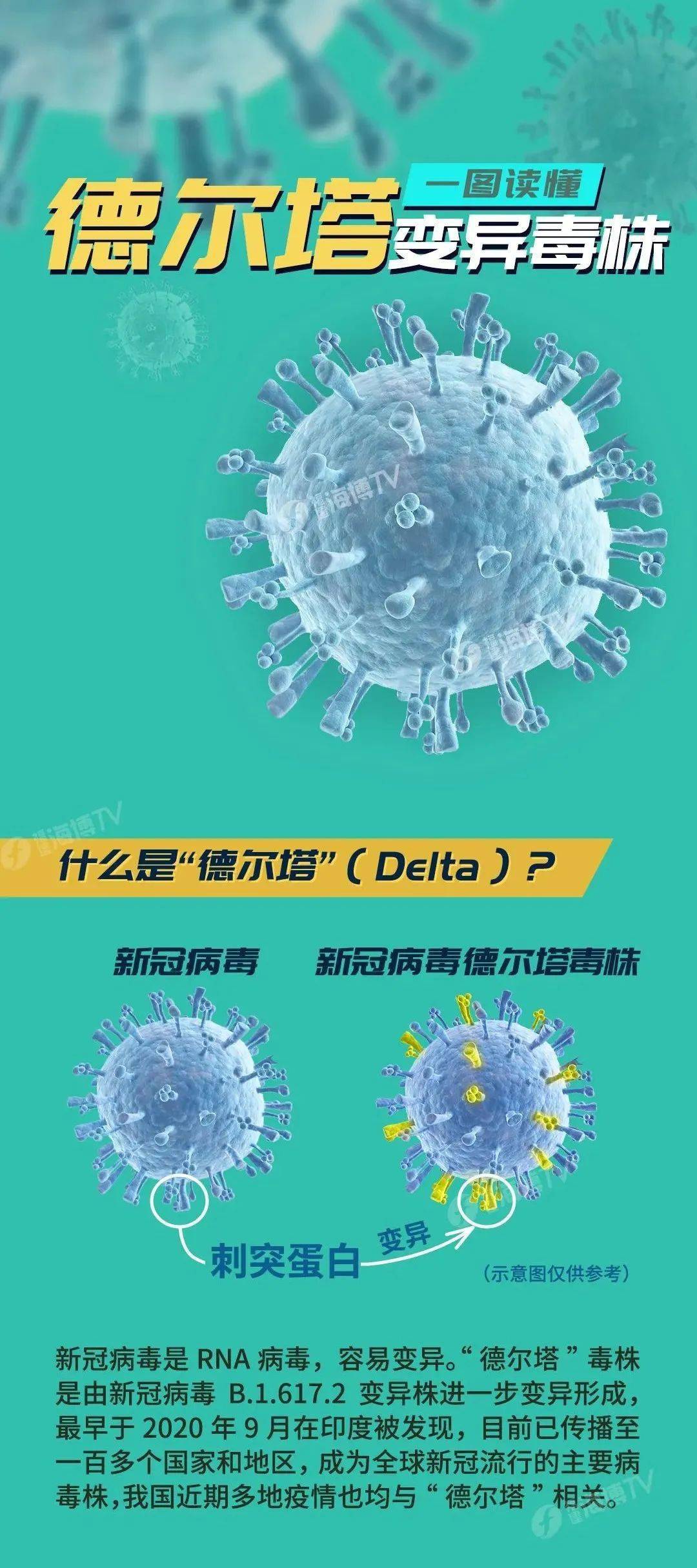 【德尔塔变异毒株与既往毒株比起来,其传染力增加了/德尔塔变异毒株的特征】