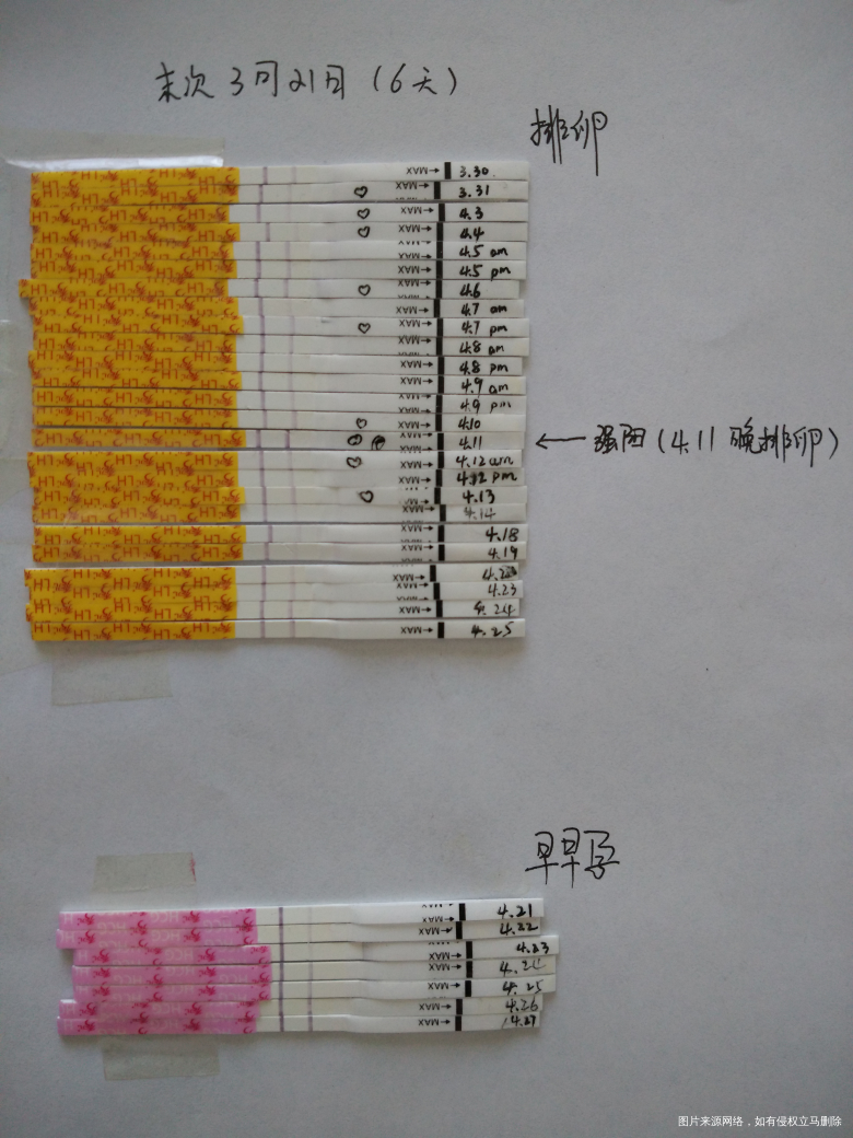 【阳持续多久/打完破卵针强阳持续多久】